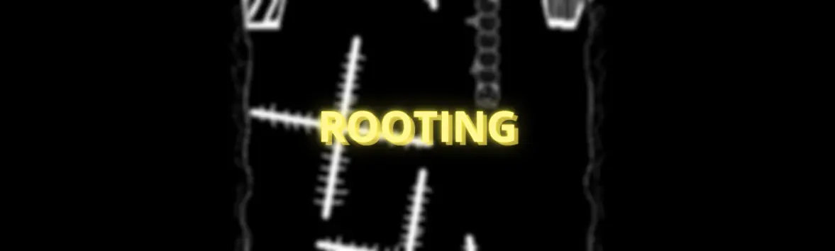 ROOTING